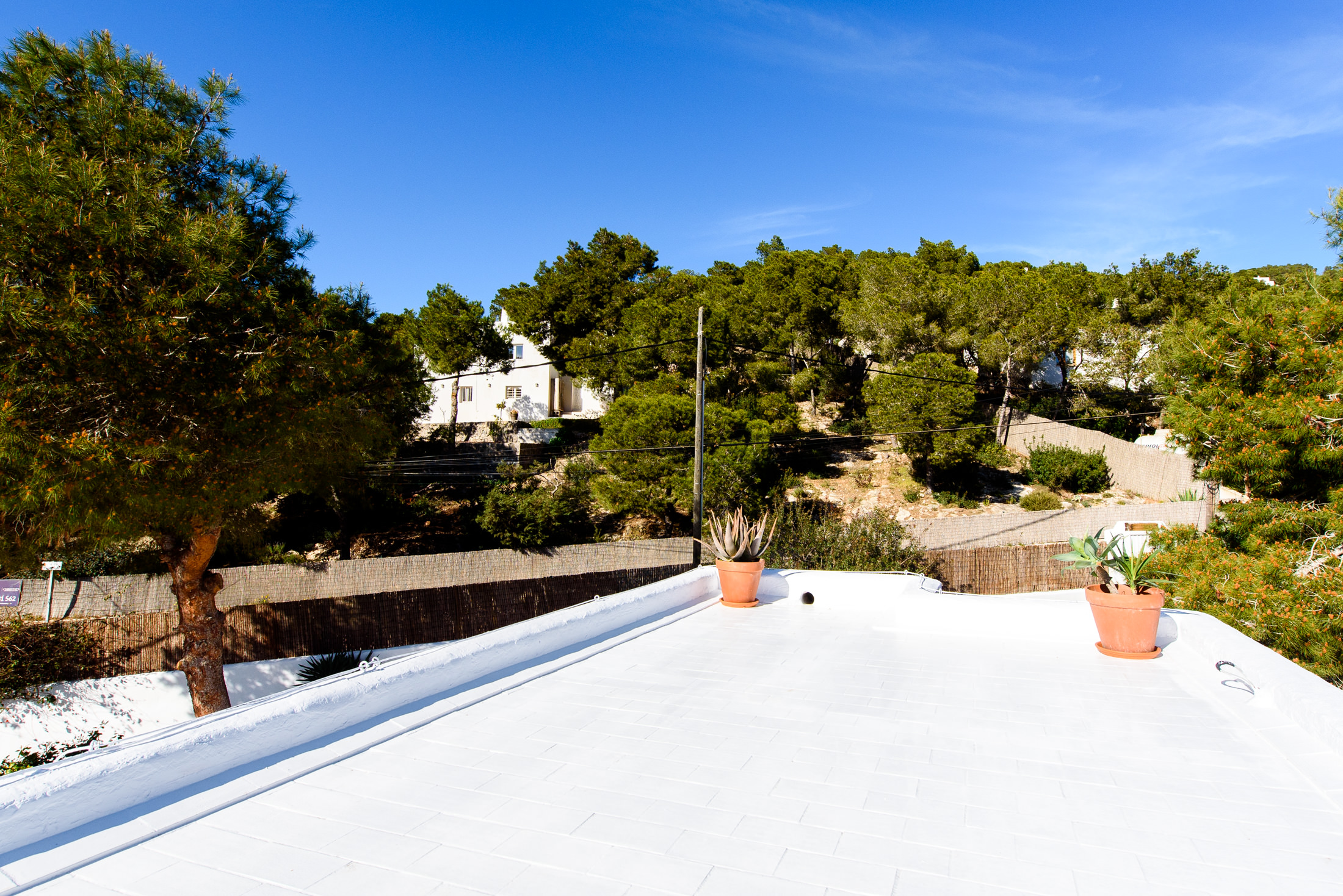 resa estates ibiza for sale house  ses salines 2022 finca views.jpg